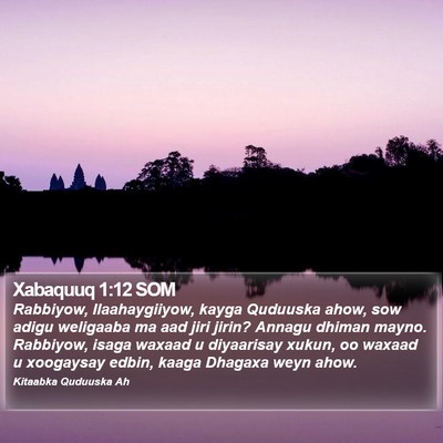 Xabaquuq 1:12 SOM Bible Verse Image