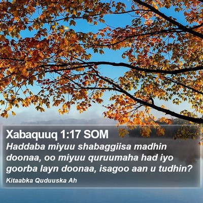 Xabaquuq 1:17 SOM Bible Verse Image