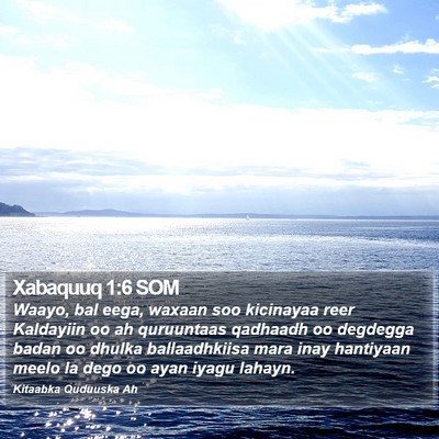 Xabaquuq 1:6 SOM Bible Verse Image