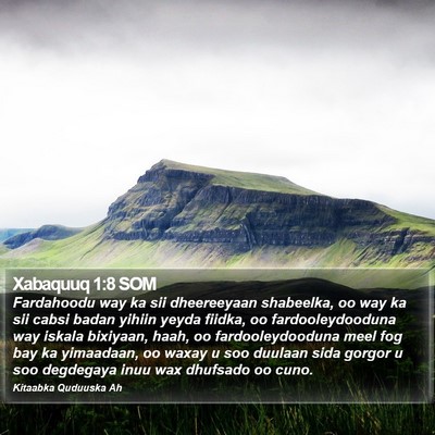 Xabaquuq 1:8 SOM Bible Verse Image