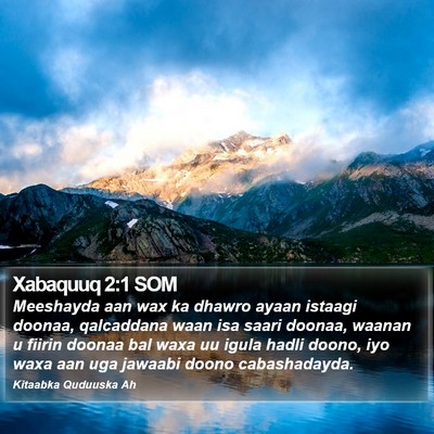 Xabaquuq 2:1 SOM Bible Verse Image
