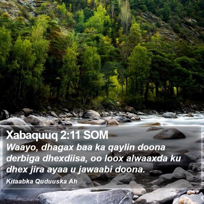 Xabaquuq 2:11 SOM Bible Verse Image
