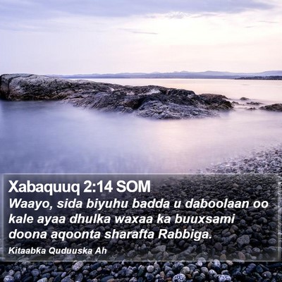Xabaquuq 2:14 SOM Bible Verse Image