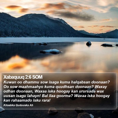 Xabaquuq 2:6 SOM Bible Verse Image