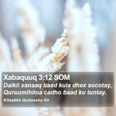 Xabaquuq 3:12 SOM Bible Verse Image