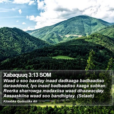 Xabaquuq 3:13 SOM Bible Verse Image