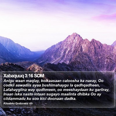 Xabaquuq 3:16 SOM Bible Verse Image