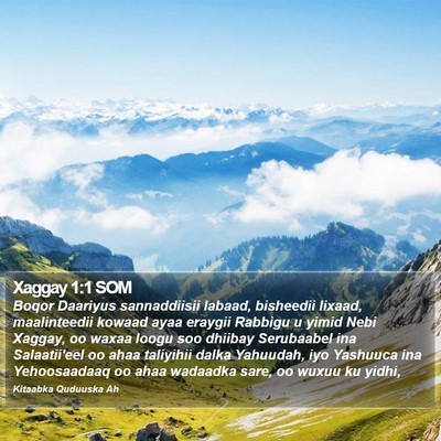 Xaggay 1:1 SOM Bible Verse Image
