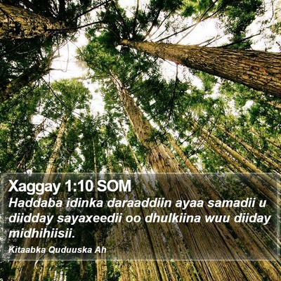 Xaggay 1:10 SOM Bible Verse Image