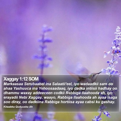 Xaggay 1:12 SOM Bible Verse Image