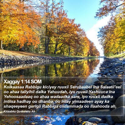 Xaggay 1:14 SOM Bible Verse Image