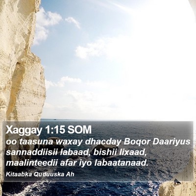 Xaggay 1:15 SOM Bible Verse Image
