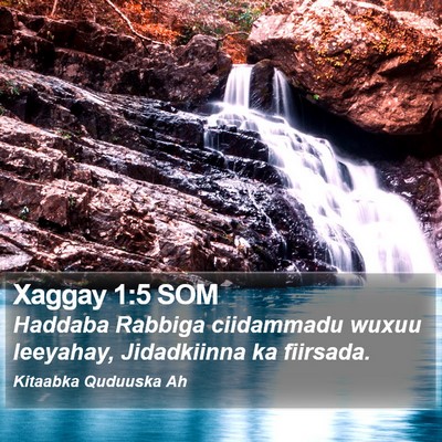 Xaggay 1:5 SOM Bible Verse Image