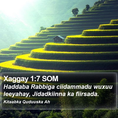Xaggay 1:7 SOM Bible Verse Image