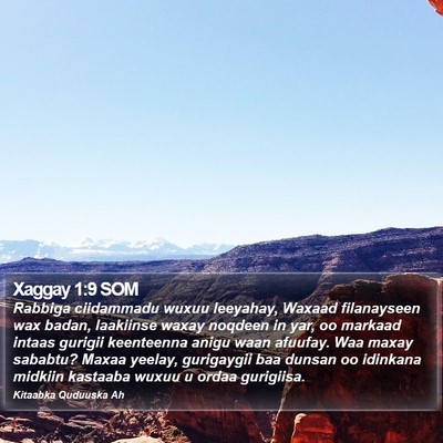 Xaggay 1:9 SOM Bible Verse Image