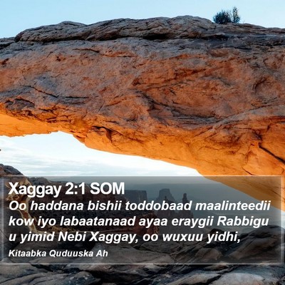 Xaggay 2:1 SOM Bible Verse Image
