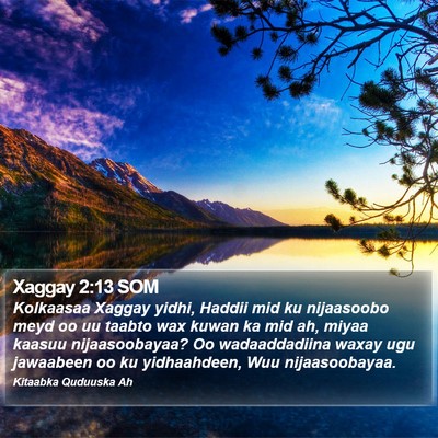Xaggay 2:13 SOM Bible Verse Image