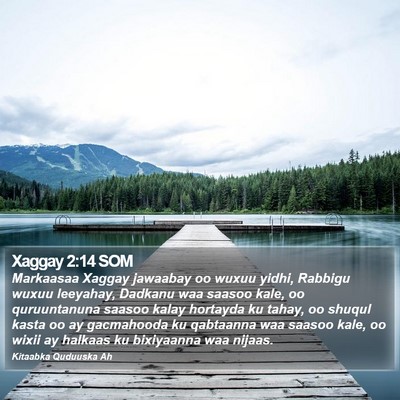Xaggay 2:14 SOM Bible Verse Image