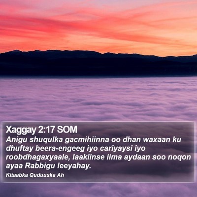 Xaggay 2:17 SOM Bible Verse Image