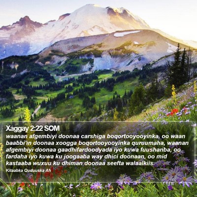 Xaggay 2:22 SOM Bible Verse Image