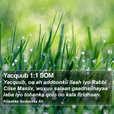 Yacquub 1:1 SOM Bible Verse Image