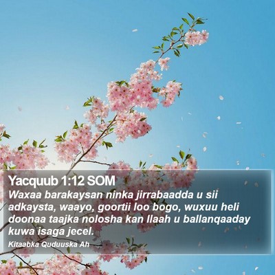 Yacquub 1:12 SOM Bible Verse Image