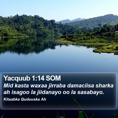 Yacquub 1:14 SOM Bible Verse Image