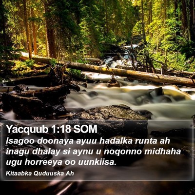 Yacquub 1:18 SOM Bible Verse Image
