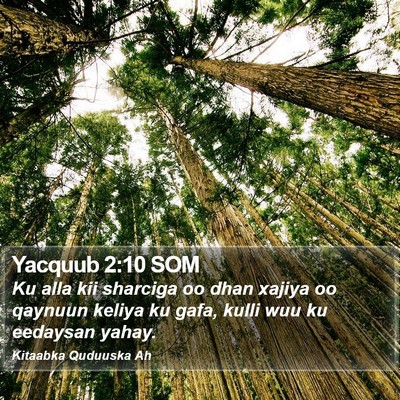 Yacquub 2:10 SOM Bible Verse Image
