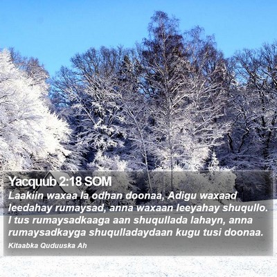 Yacquub 2:18 SOM Bible Verse Image