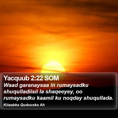 Yacquub 2:22 SOM Bible Verse Image