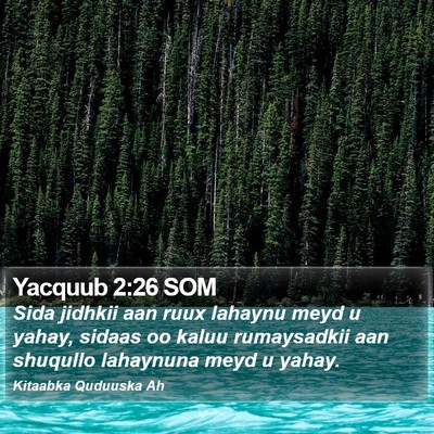 Yacquub 2:26 SOM Bible Verse Image