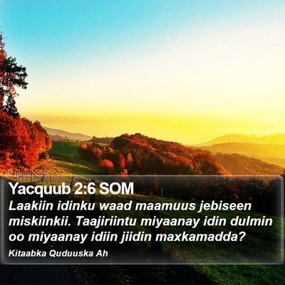 Yacquub 2:6 SOM Bible Verse Image