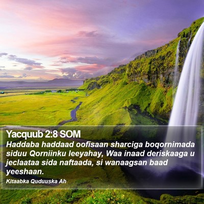 Yacquub 2:8 SOM Bible Verse Image