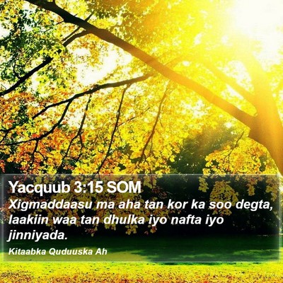 Yacquub 3:15 SOM Bible Verse Image