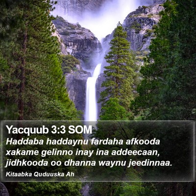 Yacquub 3:3 SOM Bible Verse Image