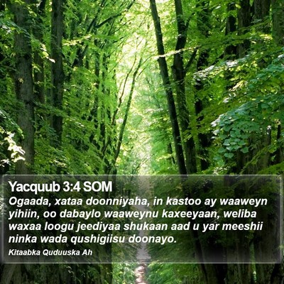Yacquub 3:4 SOM Bible Verse Image