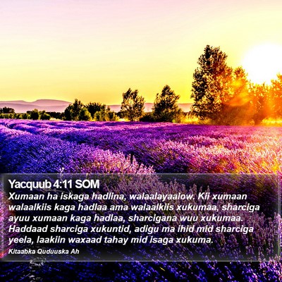Yacquub 4:11 SOM Bible Verse Image