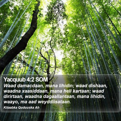 Yacquub 4:2 SOM Bible Verse Image
