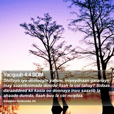 Yacquub 4:4 SOM Bible Verse Image