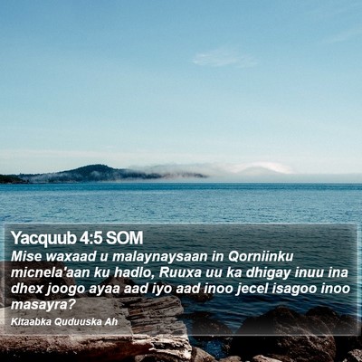 Yacquub 4:5 SOM Bible Verse Image