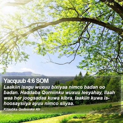 Yacquub 4:6 SOM Bible Verse Image