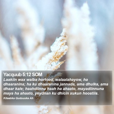 Yacquub 5:12 SOM Bible Verse Image