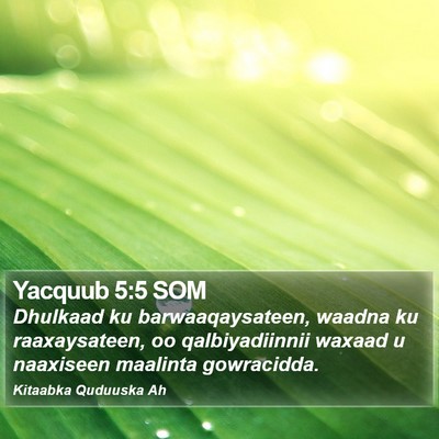 Yacquub 5:5 SOM Bible Verse Image