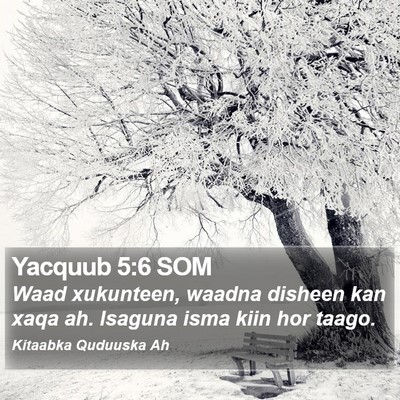Yacquub 5:6 SOM Bible Verse Image