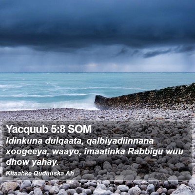 Yacquub 5:8 SOM Bible Verse Image