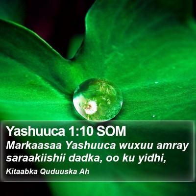 Yashuuca 1:10 SOM Bible Verse Image
