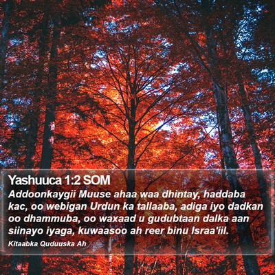 Yashuuca 1:2 SOM Bible Verse Image