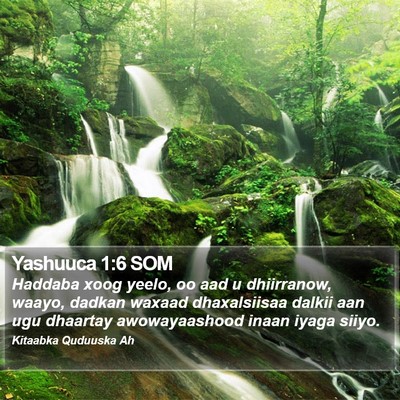 Yashuuca 1:6 SOM Bible Verse Image