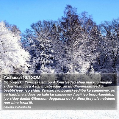 Yashuuca 10:1 SOM Bible Verse Image